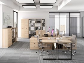 ML Meble - Schrank Odelis 01