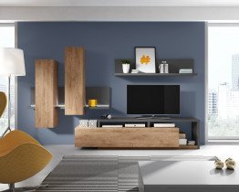 TV-Regal Bota – Anthrazit / Ribbec-Eiche – 24JRFG09