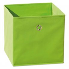 Box/Regal Winny - grün
