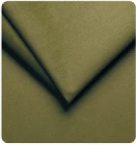 Trinity Olive