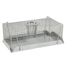 Mause- und Rattenfalle - SET3576