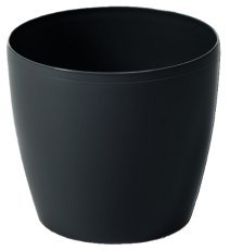 Topfdeckel Magnolia 210 mm - LAM42043