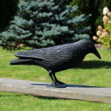 Vogelschreck – Rabe – PTA9257