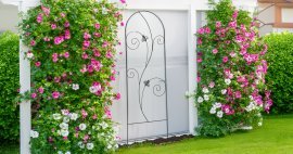 Chomik - Rankhilfe für Gartenpflanzen 60x167 cm - schwarz - PERG-N1916