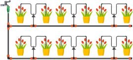 Tropfbewässerungs-Set mit 10 Tropfern - RIG5058