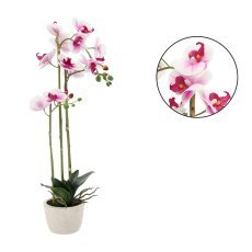 Künstliche Orchidee – weiß-rosa 70 cm, 2er-Set – HID4771