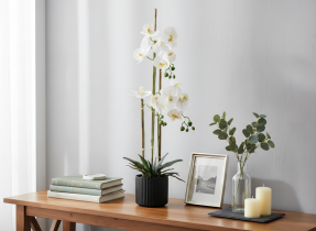 Chomik - Künstliche Orchidee – weiß, 2er-Set – HID4764