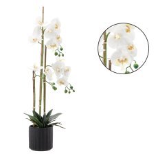 Künstliche Orchidee – weiß, 2er-Set – HID4764