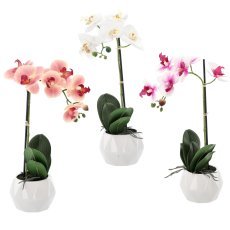 Kunstblume – Orchidee Mix in 3 Farben, 42 cm, Verpackung = 6 Stück *4818