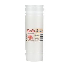Komplettset mit 10 Stück Paraffineinsätzen Dalia 19 cm/120 h *6352*3040