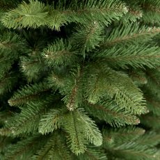 Chomik - Weihnachtsbaum Fichte Bergamo 2,5 m *2894