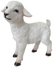 Weihnachtsfigur – Schäfchen 30 cm – RAI4442