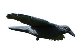 Vogelabwehr Krähe – PTA9172