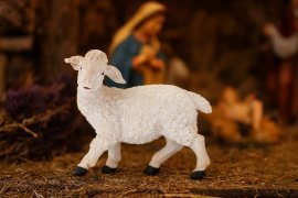 Figur Schaf - LIG2733