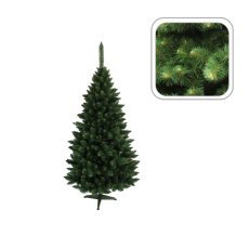 Himalaya-Kiefer „Delux“, 100 cm, Weihnachtsbaum *0836*