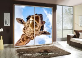 Kleiderschrank mit Schiebetüren mit Grafik Giraffe 1 Penelopa 205 cm - Eiche Riviera