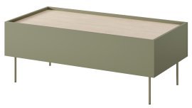 Couchtisch Desin 120 2SZ – olivgrün